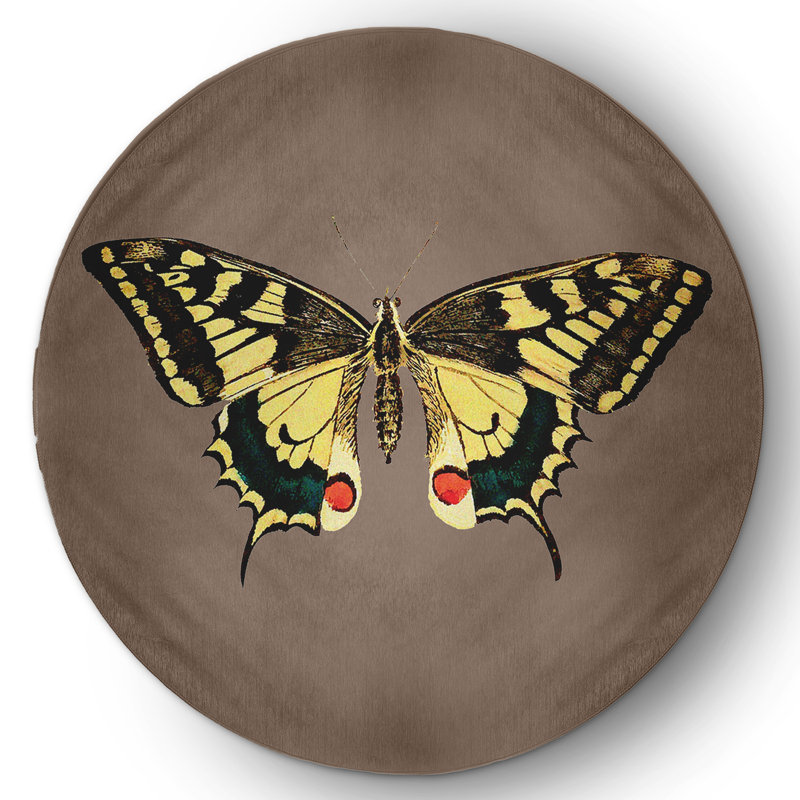 Anegla Chenille Indoor / Outdoor Rug, Round 5'