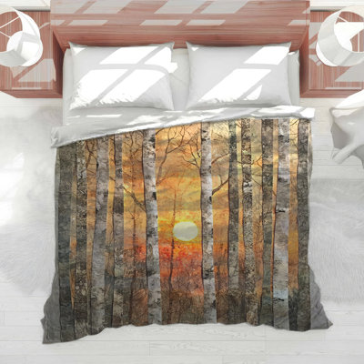 Birch Trees Sunset Comforter