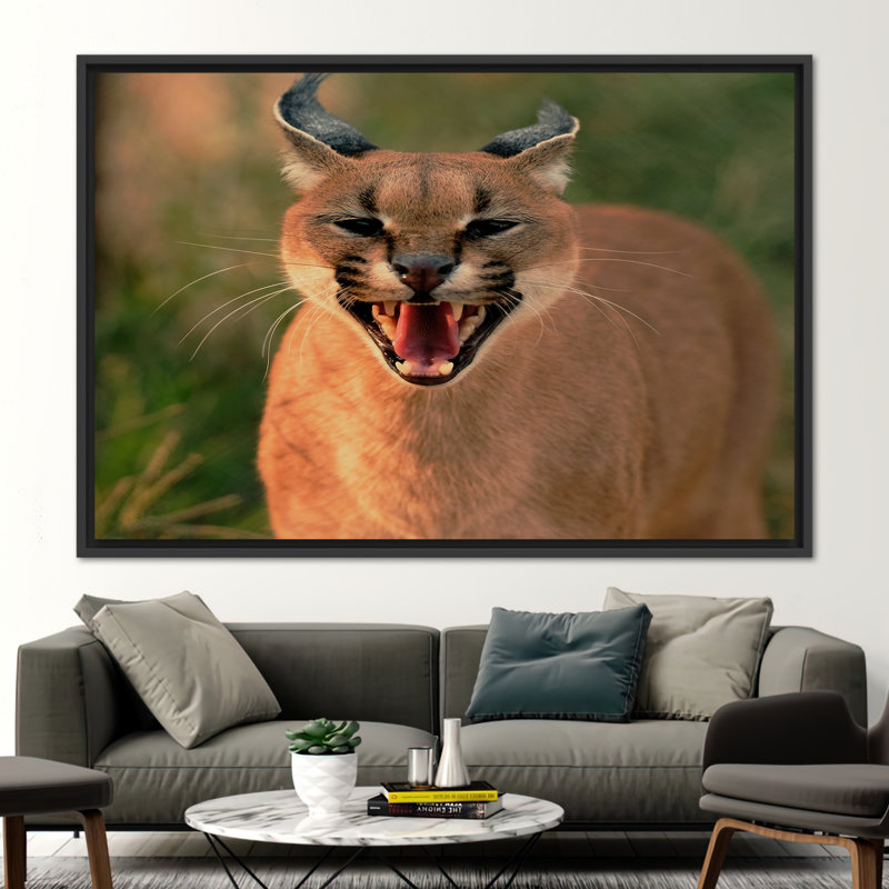 Print on Canvas, Framed Print without Mat, 20 cm H x 30 cm W, Black