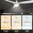 52'' Ceiling Fan with LED Lights