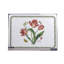 Portmeirion, Botanic Garden - Placemats