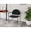 Chaise d'invité Chat Chat-98671299-98882121