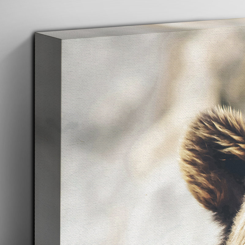 Brown Grizzly Bear Photographic - Wrapped Canvas, 50cm H x 76cm W