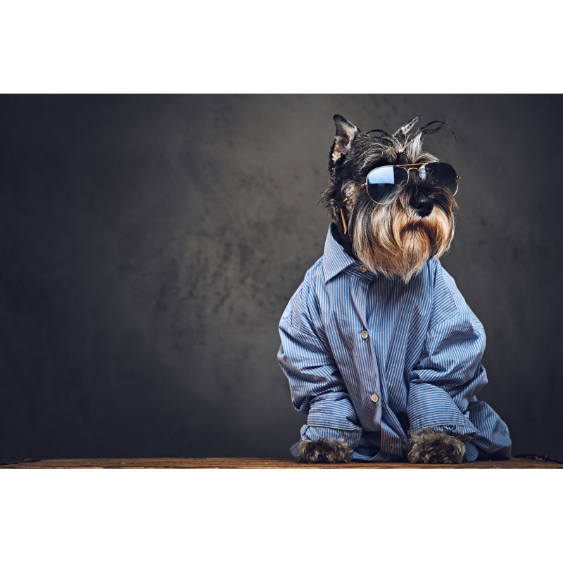 Dog In A Shirt by FXQuadro - Wrapped Canvas Print, 30cm H x 46cm W