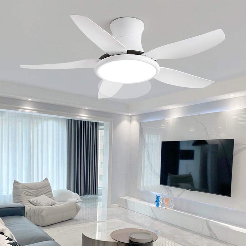 Andreano 122cm Ceiling Fan with LED Lights, White