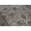 Hand Knotted Wool Oriental Area Rug
