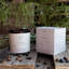 Mullewa Scented Jar Candle
