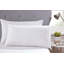Night Comfort's Exclusive Bounce Back Microfibre Cover Pillow Filled with Hollowfibre (Set of 2)