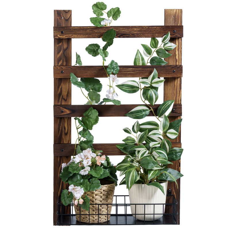 Millwood Pines Carletto Wall Mounted Solid Wood Lattice Panel Trellis ...