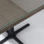 Table 31,5 "Asbury-119283787-119283785