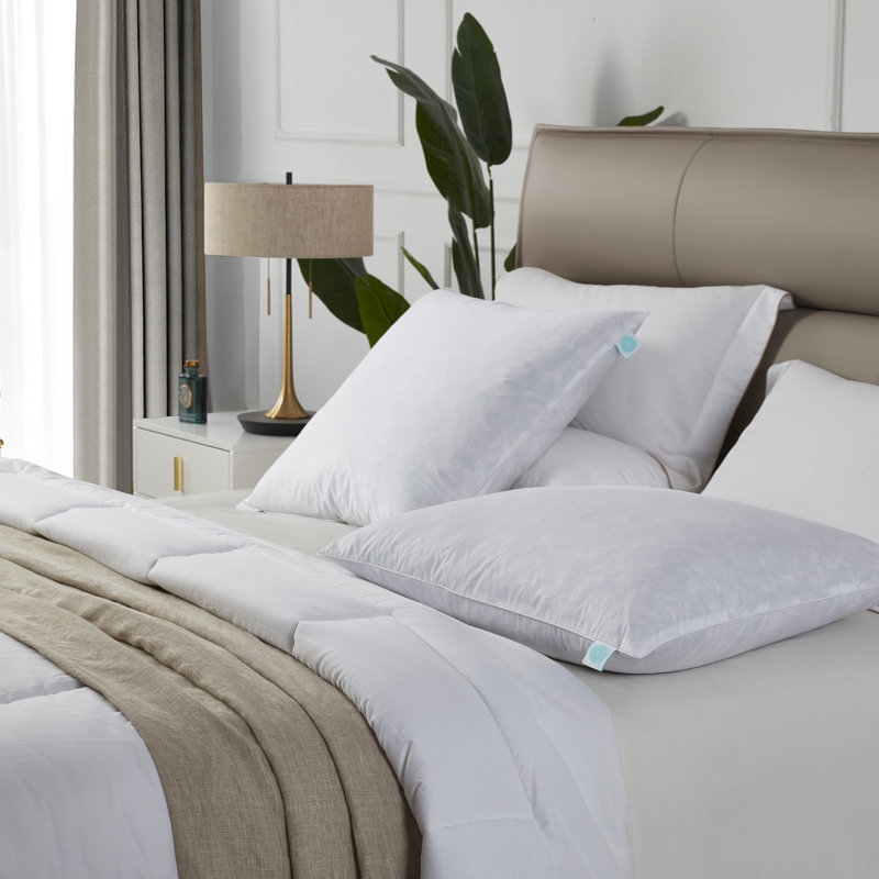 Martha Stewart 20X20'' Decorative Feather Pillow Insert (2PK) - Medium Firm, 26" x 26"