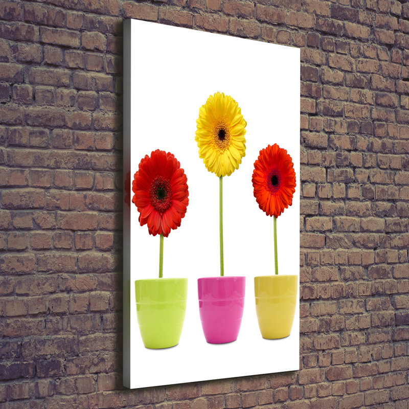 Colourful Gerberas - Wrapped Canvas Print
