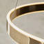 Delia Ring Pendant light finished in French Gold