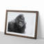 A Silverback Gorilla in Abstract - Framed Print-55629234-55629236