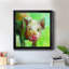 «Colorful Quirky Pig», peinture sur toile encadrée-1187901953-1187901980