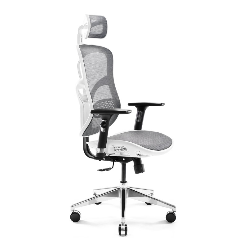 Office Chair, Gray/White