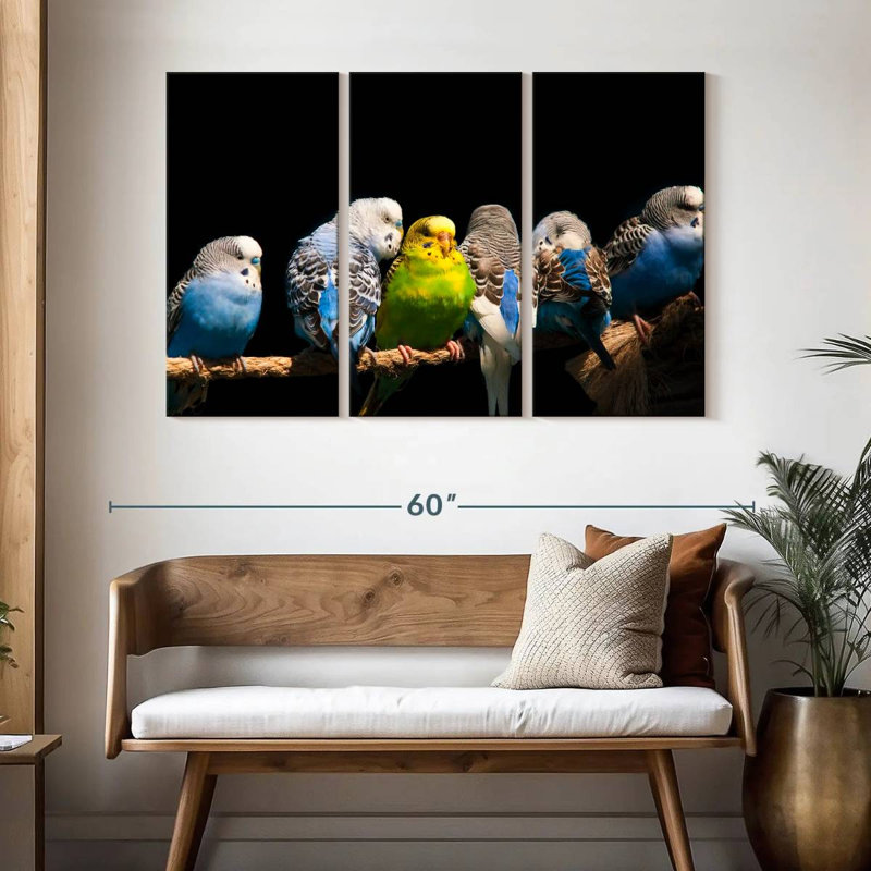 Budgerigars sur une corde, H 32 po x l 50 po