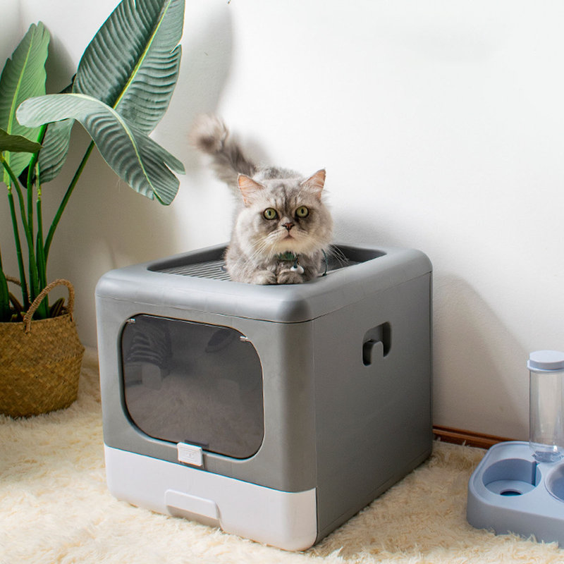 Grande litière en plastique anti-dégâts pour chat