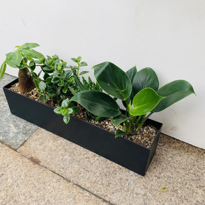 Metal Steel Trough Planter - Rectangle Black Planters For...
