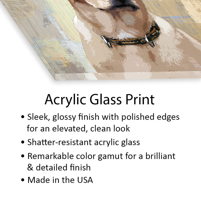 Labrador Retriever, reproduction sur verre acrylique, H 24 po x l 24 po x P 0,25 po
