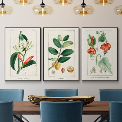Turpin Tropical Botanicals IV