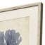 Indigo Sea Life Framed Art