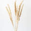 Grand tapis moelleux naturel One Stop Shop