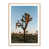 White Oak Picture Framed