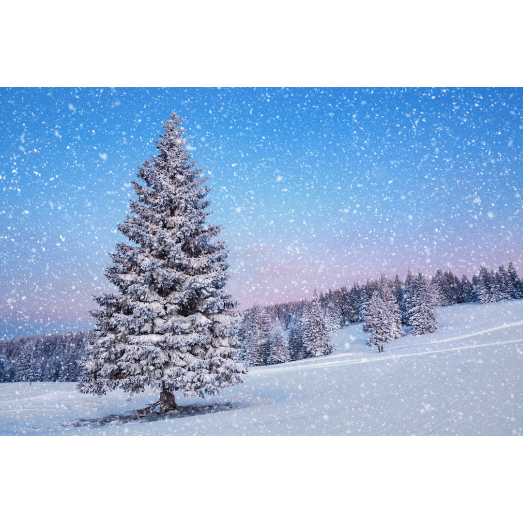 Winterlandschaft von Borchee - Druck