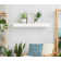 Avyay Oak Solid Wood Floating Shelf