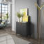 Anka Rectangle Accent Chest