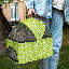 Poussette pliante pour animaux de compagnie, poussette pliable pour chien avec support amovible, panier et porte-gobelet-106691719