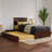 Ashante Solid Wood Platform Bed with Panel Footboard and Trundle Bed-1588594117-1588594168