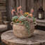 Pot à fleurs en grès texturé -868053472-861959520