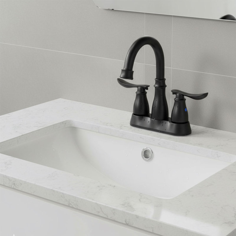Double Handle Bathroom Sink Faucet with Drainer, Black