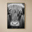 Nez de vache BW-1232874072-1232874078