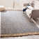 Derr Natural Fiber Hand Woven Jute Geometric Rug