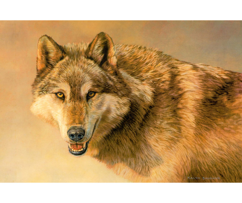 Portrait de loup MCG-PF1129, H 27 po x l 40 po