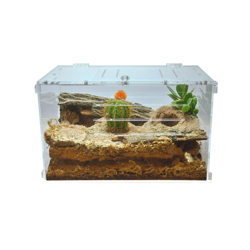 Acrylic Reptile Terrarium, 7 Gallon - 16"H x 10"W x 10"D