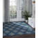Speegle Indoor / Outdoor Rug