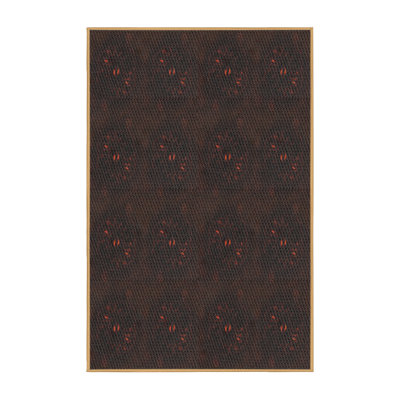 Indoor Rug