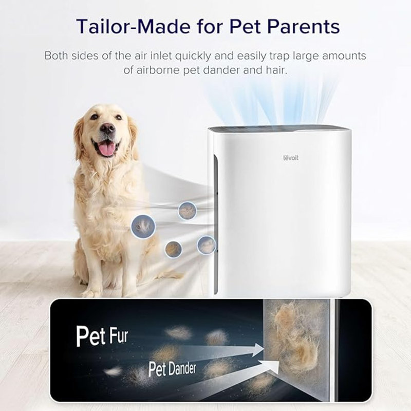 White Compact Air Purifier with Washable Filter