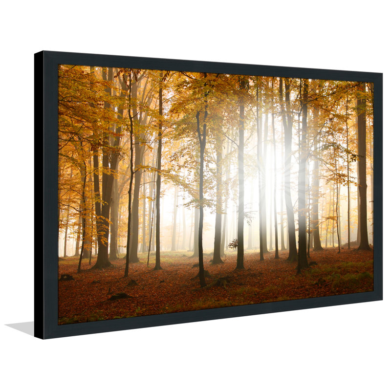 « automne », reproduction de photo encadrée, H 27,5 po x l 39,5 po x P 0,75 po