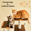 Tour pour chat 70 po-1077888263-1077888262