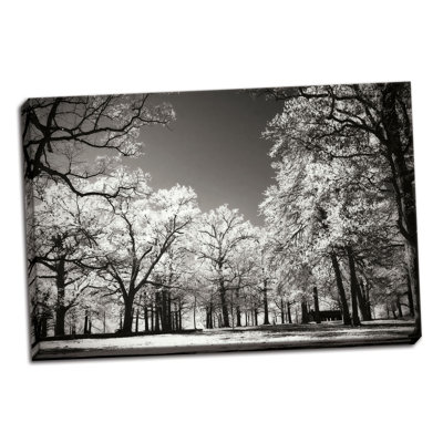 « brillante spring day i », reproduction de photo sur toile tendue