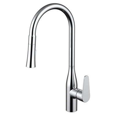 Daweier Pull Out Kitchen Faucet