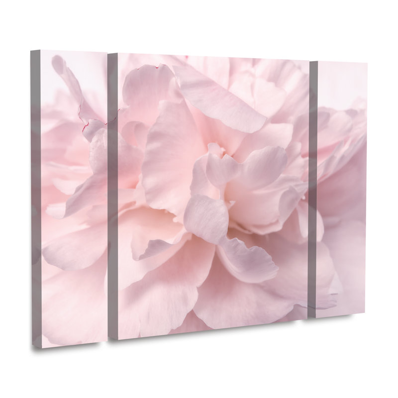 Ensemble de 3 panneaux Cora Niele «Pink Peony Petals II», H 24 po x l 32 po x P 2 po