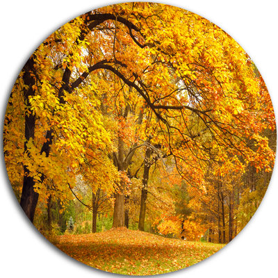 " Golden Autumn Forest "