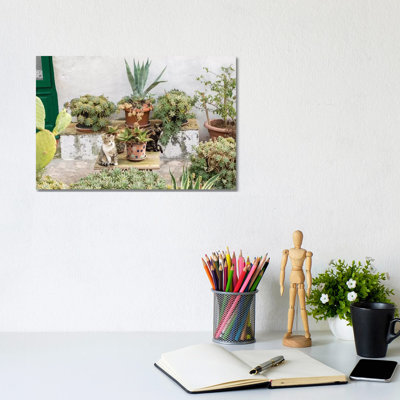 Plants Adorn The Outside Walls Of The Sassi Houses by Julie Eggers - Wrapped Canvas Painting