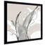 «Touch of Grey V» par Chris Paschke-1723735592-1723735593